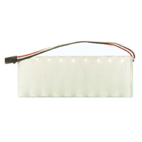 CSI 2100 Analyzer Replacement Battery